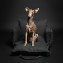 Noah & Paw orthopedic dog car seat carrier with crushed foam, charcoal canvas