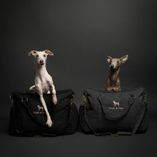 Noah & Paw orthopedic dog car seat carrier with crushed foam, charcoal canvas