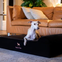 Noah & Paw orthopedic classic dog bed in denim with memory foam and cooling gel, black, size L (35 x 25 x 8.5 in)