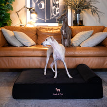 Noah & Paw orthopedic classic dog bed in denim with memory foam and cooling gel, black, size L (35 x 25 x 8.5 in)