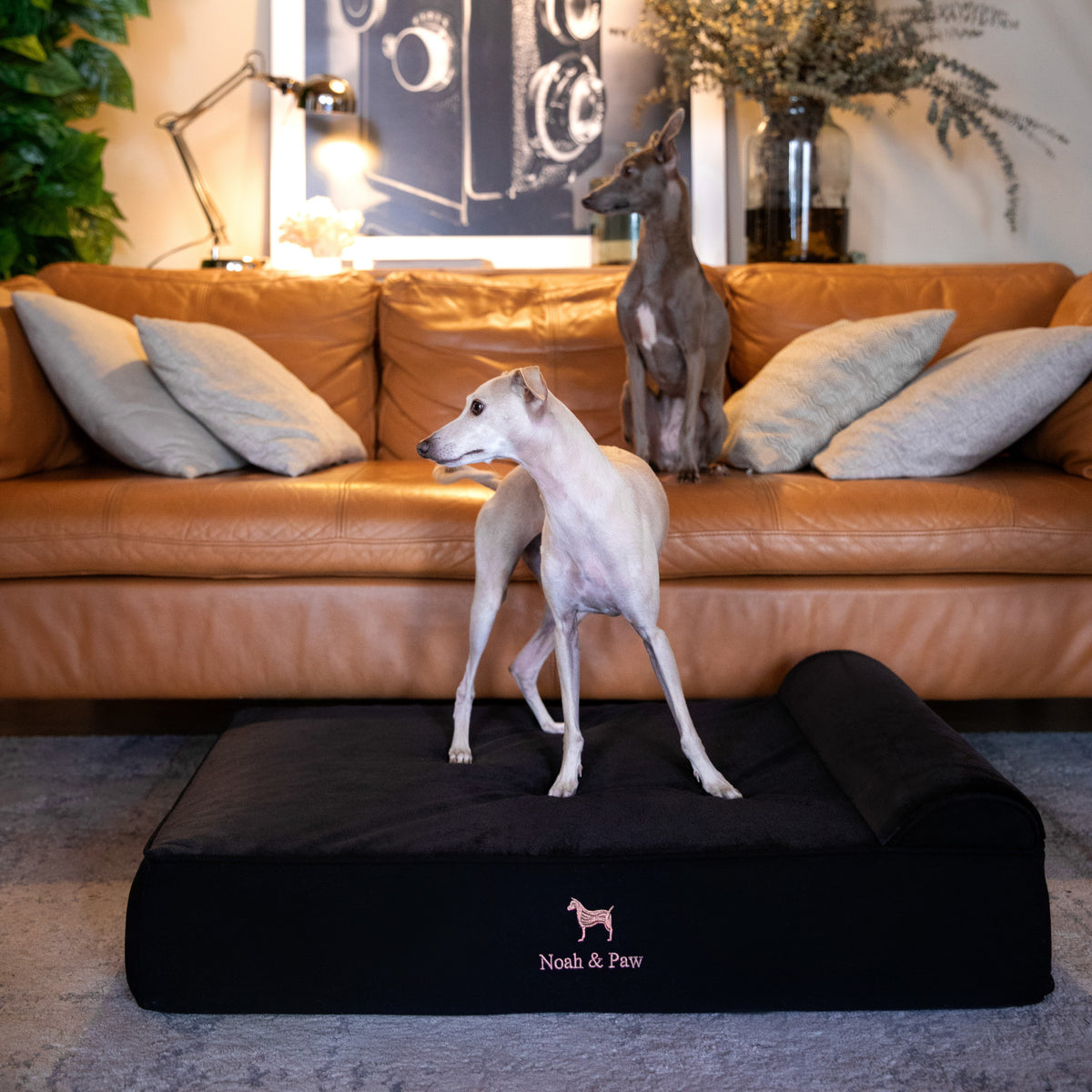 Denim, Orthopedic Pet Bed, Classic Style - Black - L