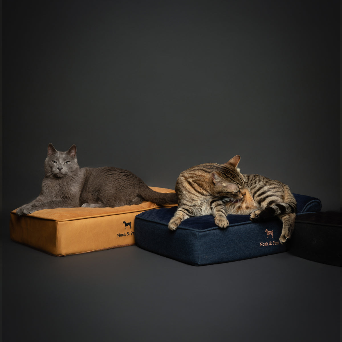 Denim, Orthopedic Pet Bed, Classic Style - Black - L