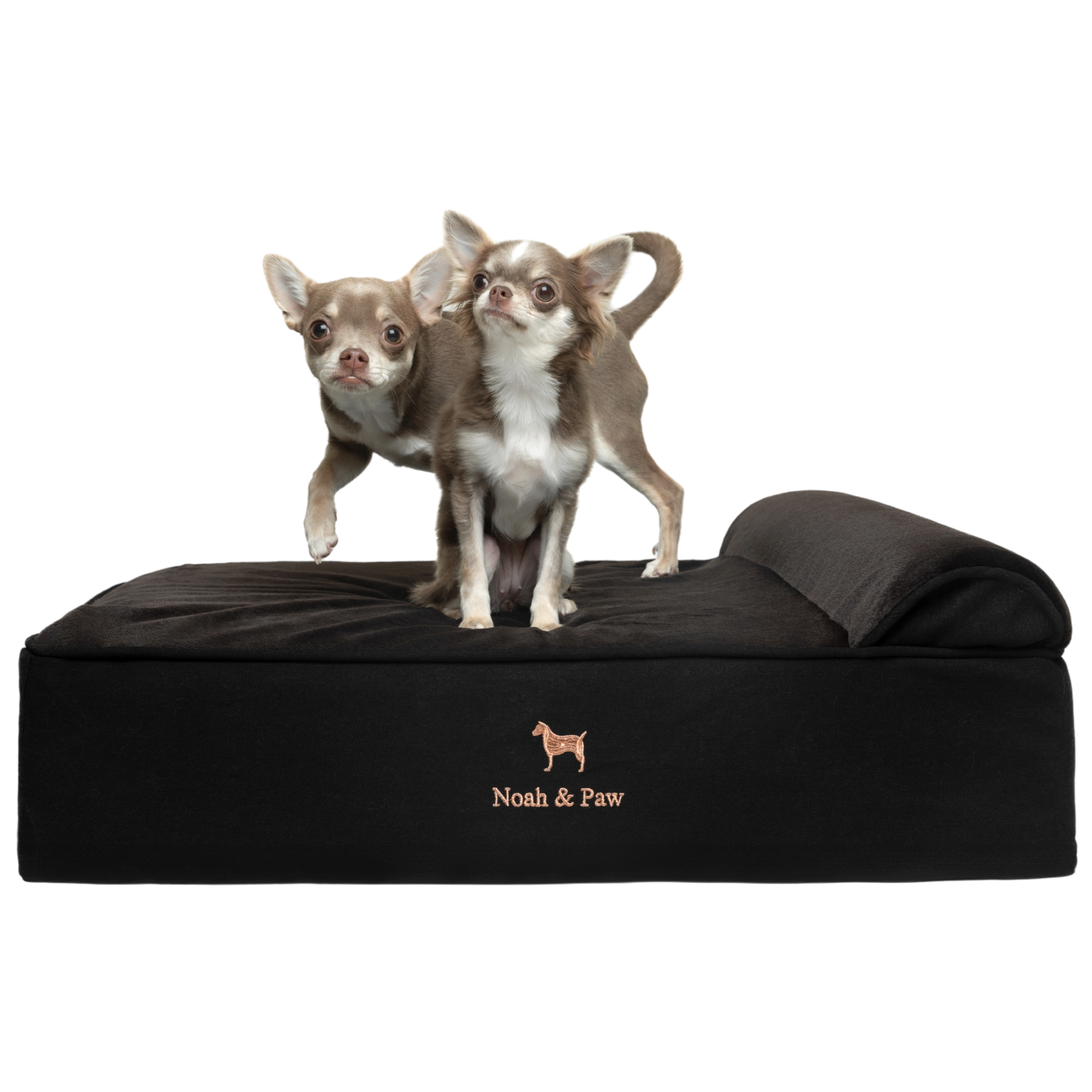 NOAH & PAW XL Orthopädisches Hundebett – 22,9 Cm Dick Mit Memory-Schaum & Kühlgel, Wasserdicht & Waschbar