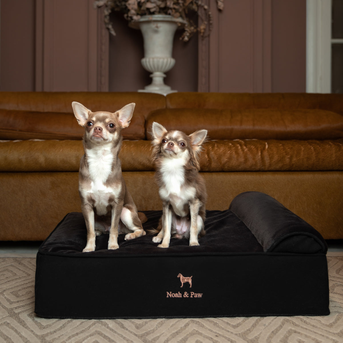 Denim, Orthopedic Pet Bed, Classic Style - Black - M