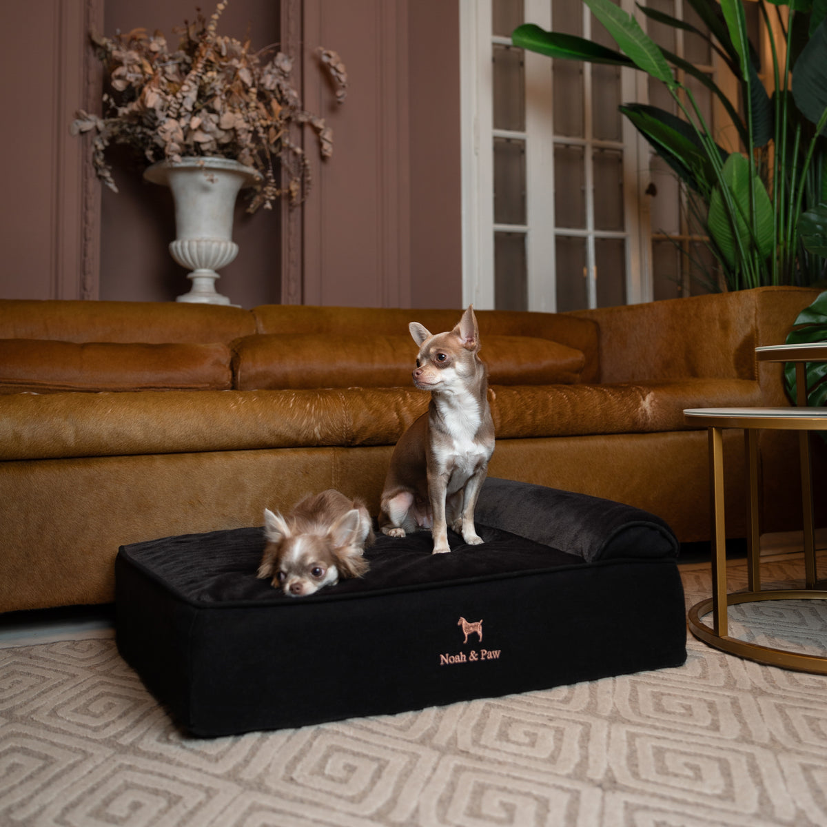 Denim, Orthopedic Pet Bed, Classic Style - Black - M
