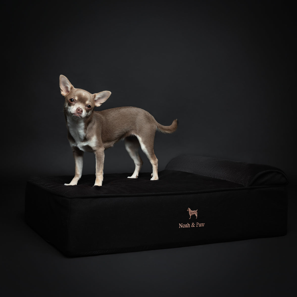 Denim, Orthopedic Pet Bed, Classic Style - Black - M