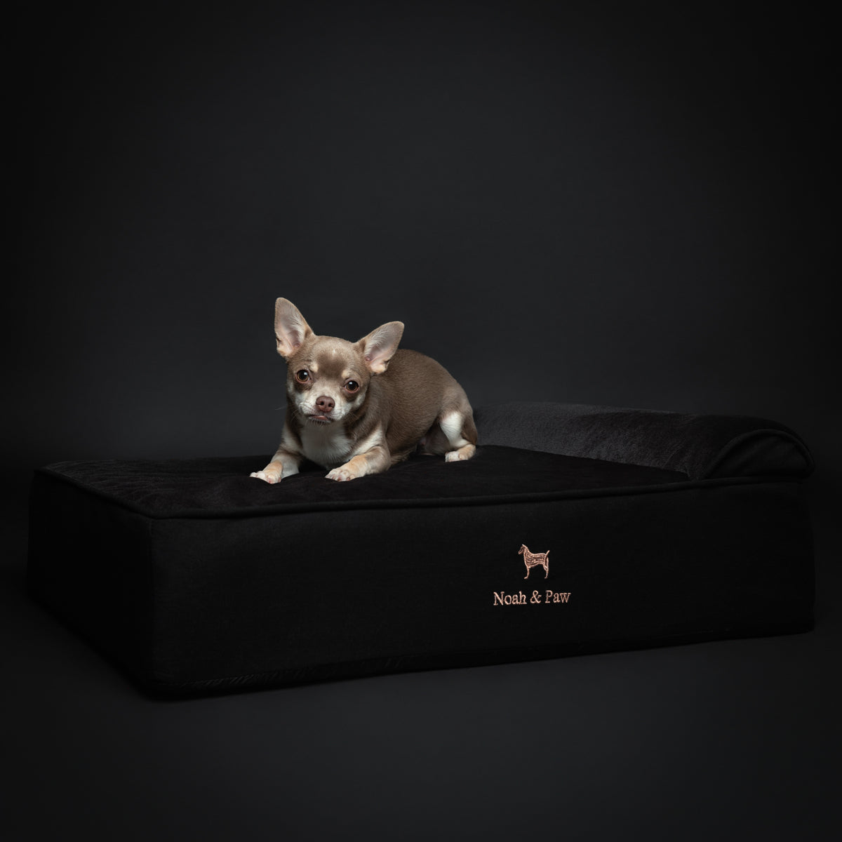 Denim, Orthopedic Pet Bed, Classic Style - Black - M