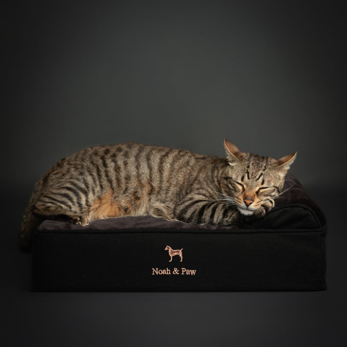 Denim, Orthopedic Pet Bed, Classic Style - Black - S