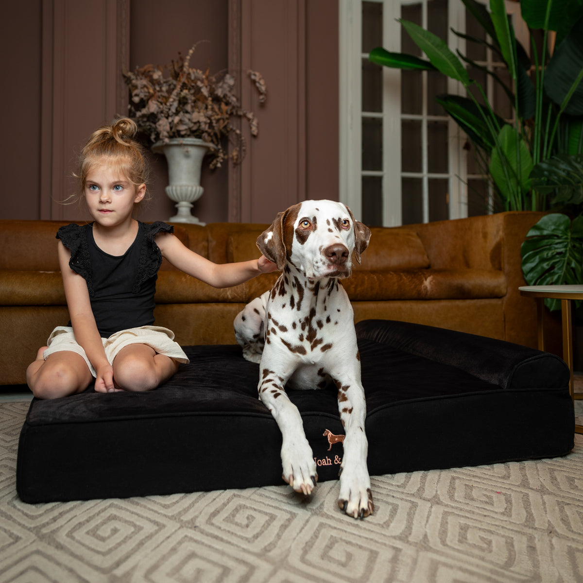 Denim, Orthopedic Pet Bed, Classic Style - Black - XL