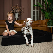 Noah & Paw orthopedic classic dog bed in denim with memory foam and cooling gel, black, size XL (45 x 35 x 9 in)