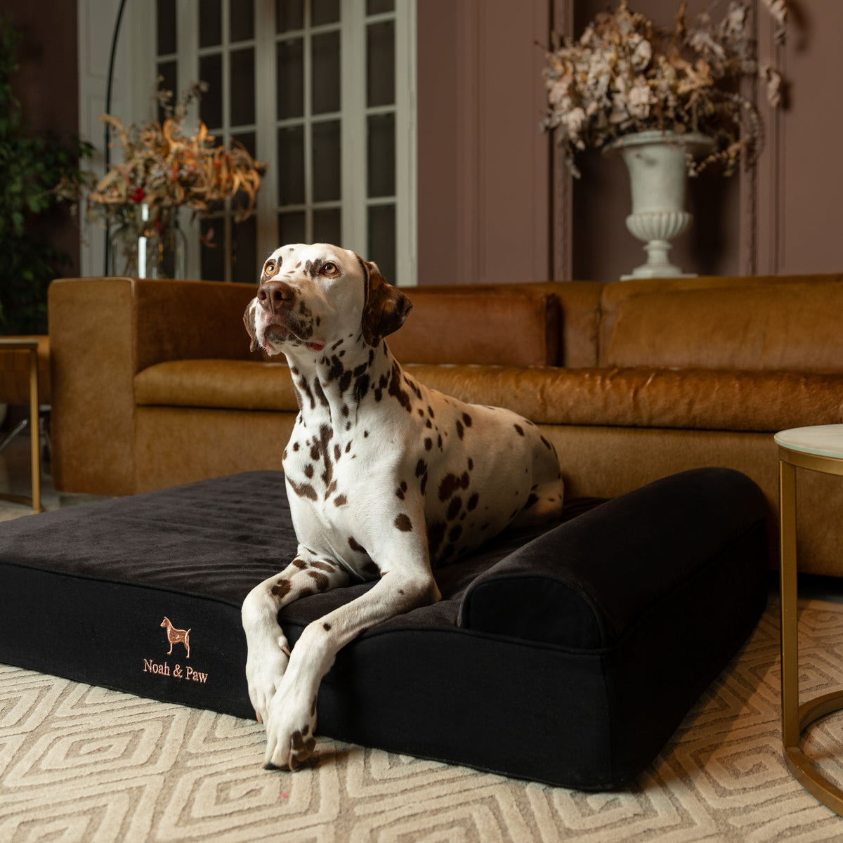 Denim, Orthopedic Pet Bed, Classic Style - Black - XL