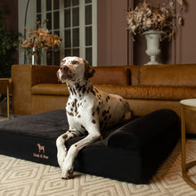 Noah & Paw orthopedic classic dog bed in denim with memory foam and cooling gel, black, size XL (45 x 35 x 9 in)