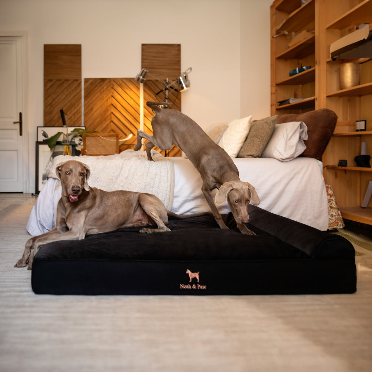 Denim, Orthopedic Pet Bed, Classic Style - Black - XL