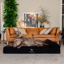 Noah & Paw orthopedic classic dog bed in denim with memory foam and cooling gel, black, size XL (45 x 35 x 9 in)