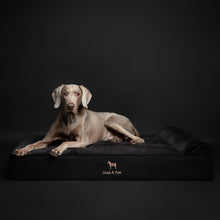 Noah & Paw orthopedic classic dog bed in denim with memory foam and cooling gel, black, size XL (45 x 35 x 9 in)