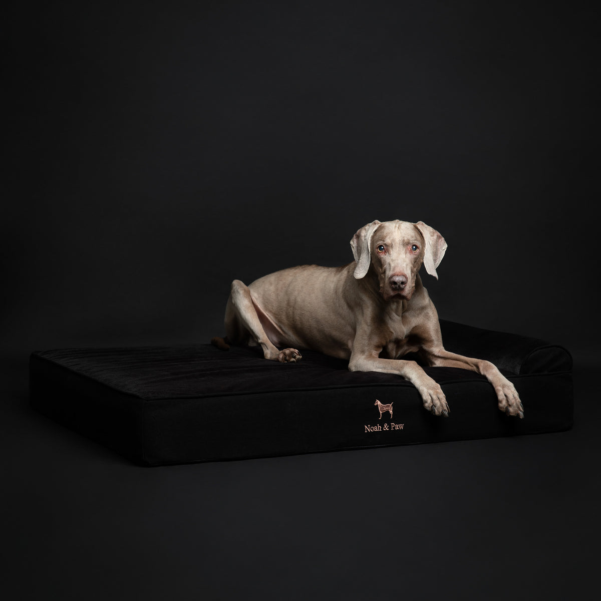 Denim, Orthopedic Pet Bed, Classic Style - Black - XL
