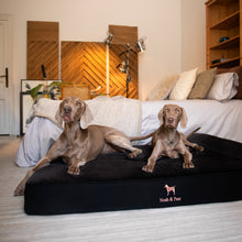 Noah & Paw orthopedic classic dog bed in denim with memory foam and cooling gel, black, size XXL (55 x 45 x 9.5 in)