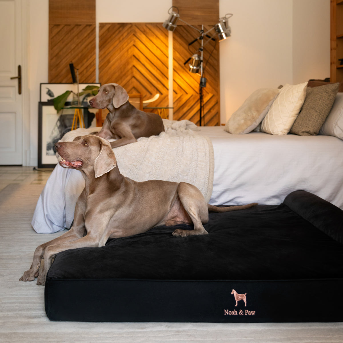 Denim, Orthopedic Pet Bed, Classic Style - Black - XXL