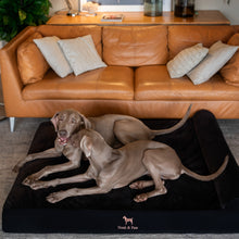 Noah & Paw orthopedic classic dog bed in denim with memory foam and cooling gel, black, size XXL (55 x 45 x 9.5 in)