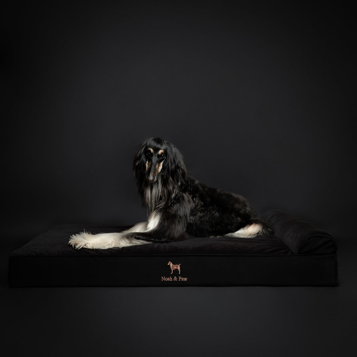 Denim, Orthopedic Pet Bed, Classic Style - Black - XXL