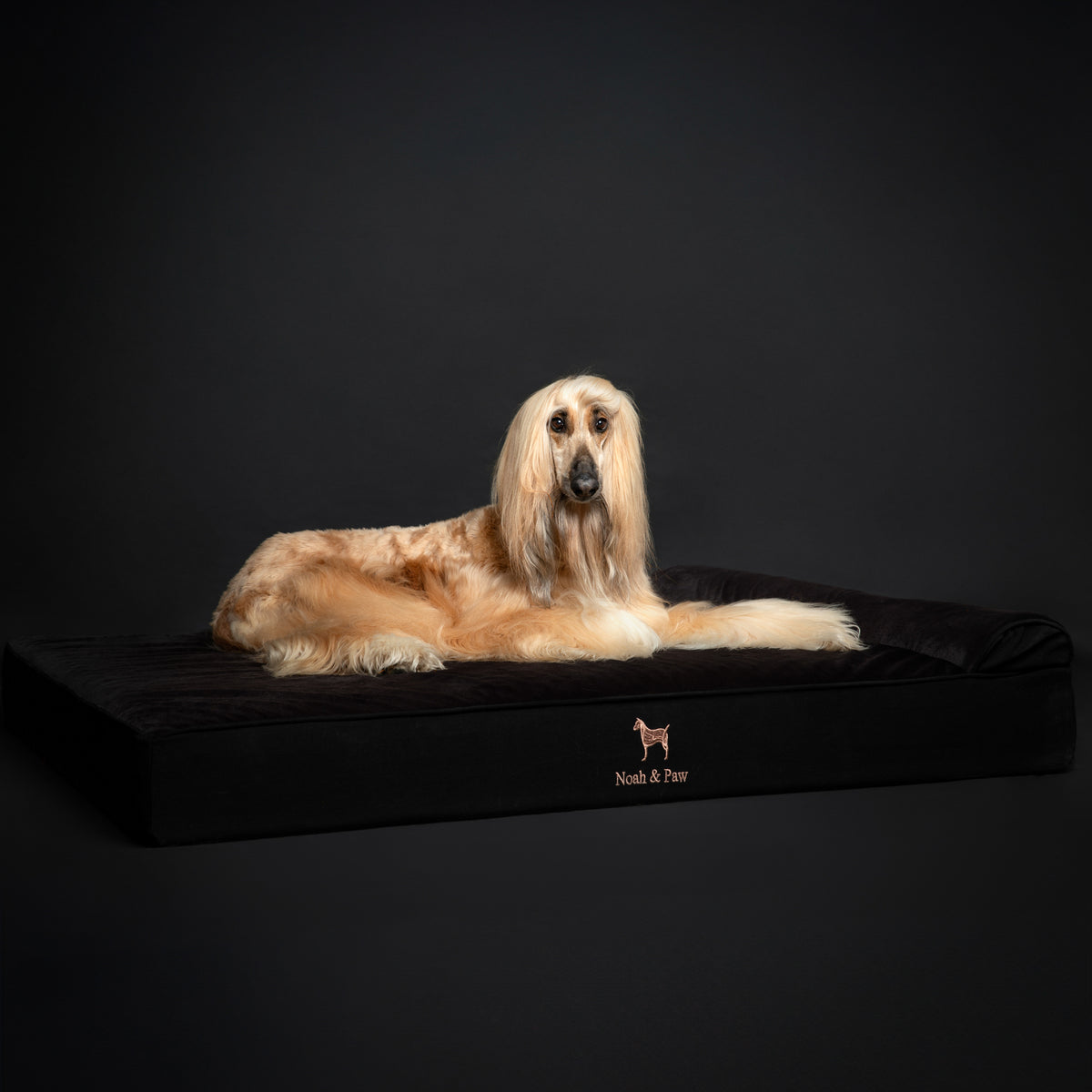 Denim, Orthopedic Pet Bed, Classic Style - Black - XXL