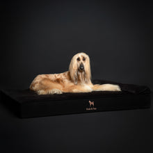 Noah & Paw orthopedic classic dog bed in denim with memory foam and cooling gel, black, size XXL (55 x 45 x 9.5 in)