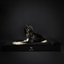 Denim Orthopedic Pet Bed, Memory Foam, Infused with Cooling Gel - Classic