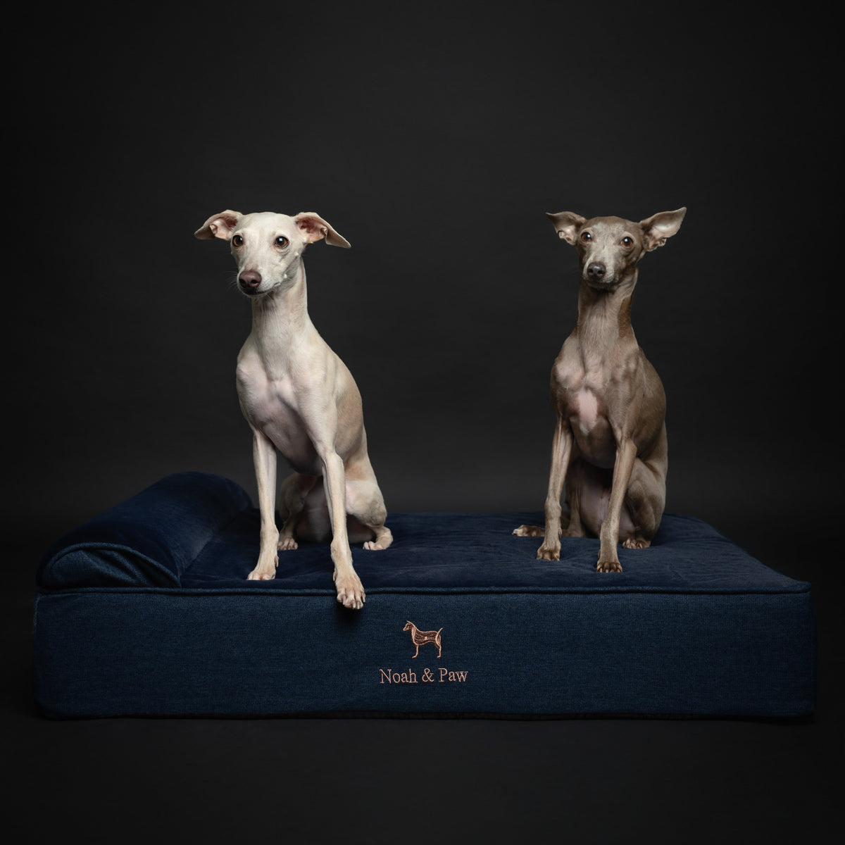 Denim, Orthopedic Pet Bed, Classic Style - Dark Blue - L