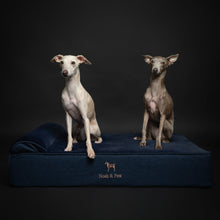 Noah & Paw orthopedic classic dog bed in denim with memory foam and cooling gel, dark blue, size L (35 x 25 x 8.5 in)