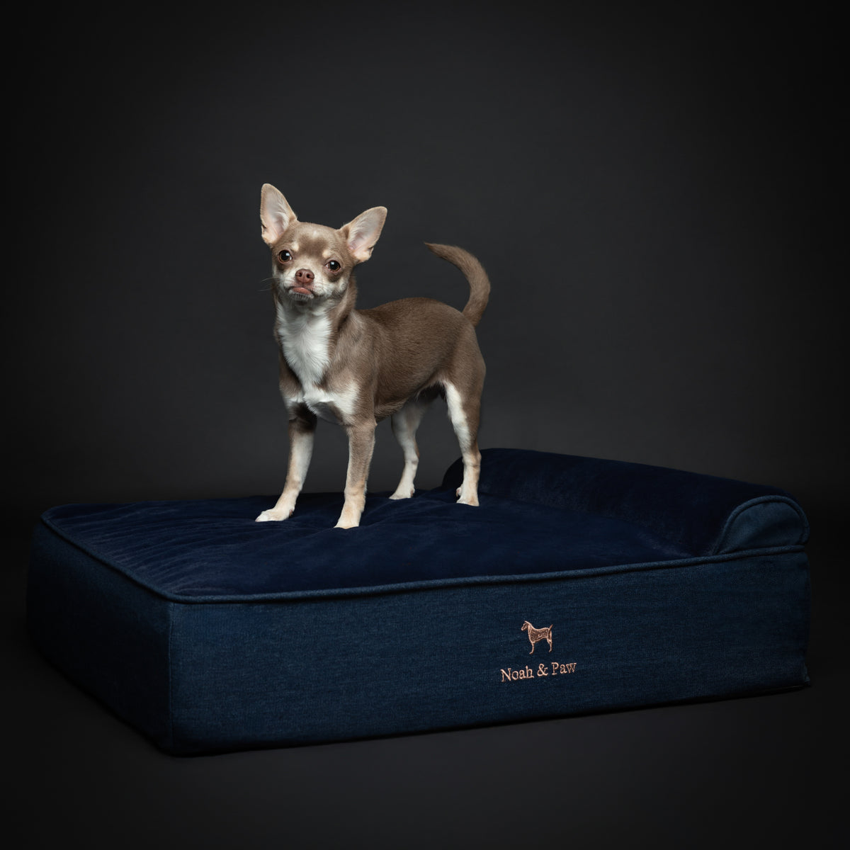 Denim, Orthopedic Pet Bed, Classic Style - Dark Blue - M
