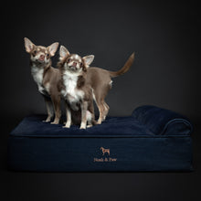 Noah & Paw orthopedic classic dog bed in denim with memory foam and cooling gel, dark blue, size M (28 x 23 x 7.5 in)