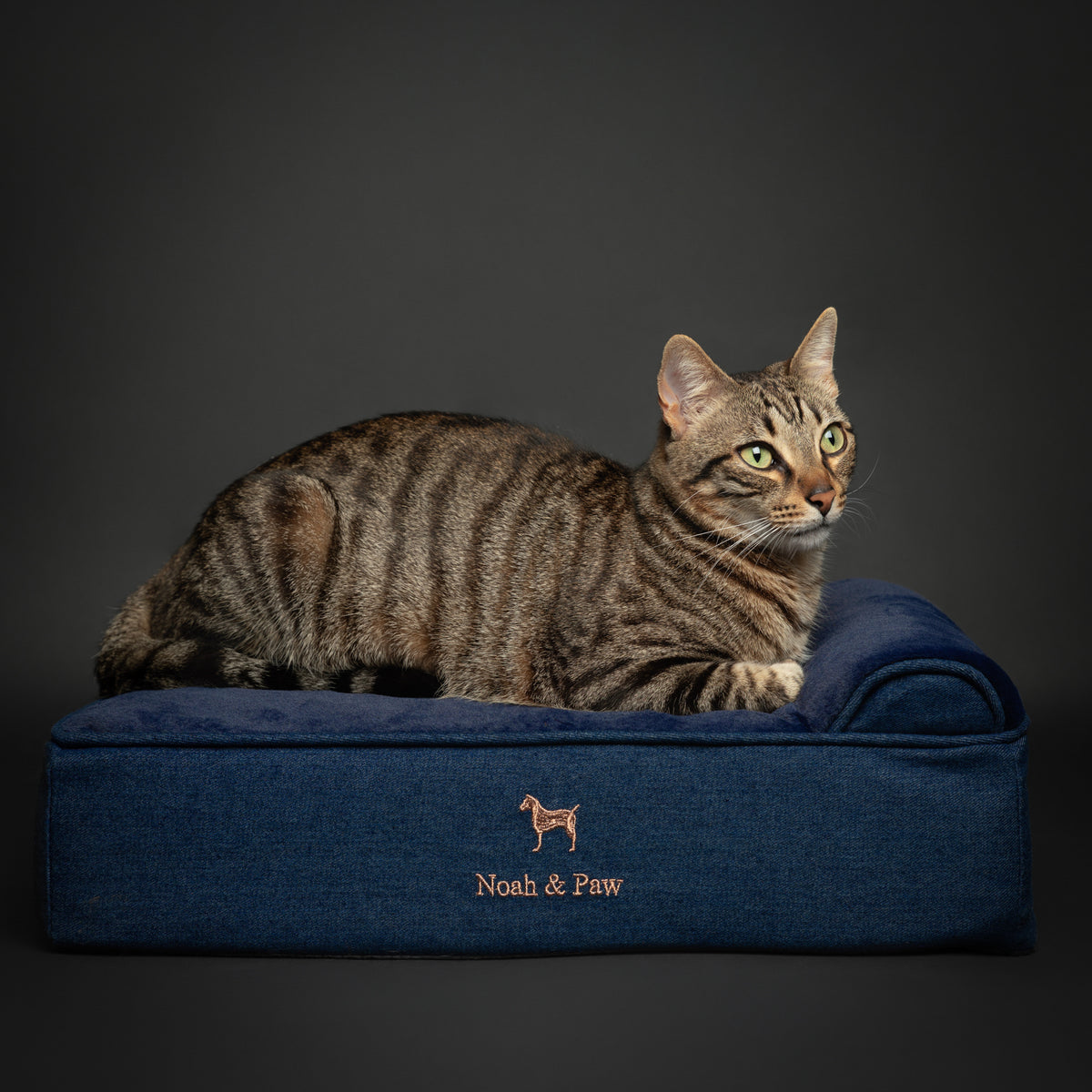 Denim, Orthopedic Pet Bed, Classic Style - Dark Blue - S