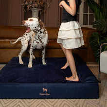 Noah & Paw orthopedic classic dog bed in denim with memory foam and cooling gel, dark blue, size XL (45 x 35 x 9 in)