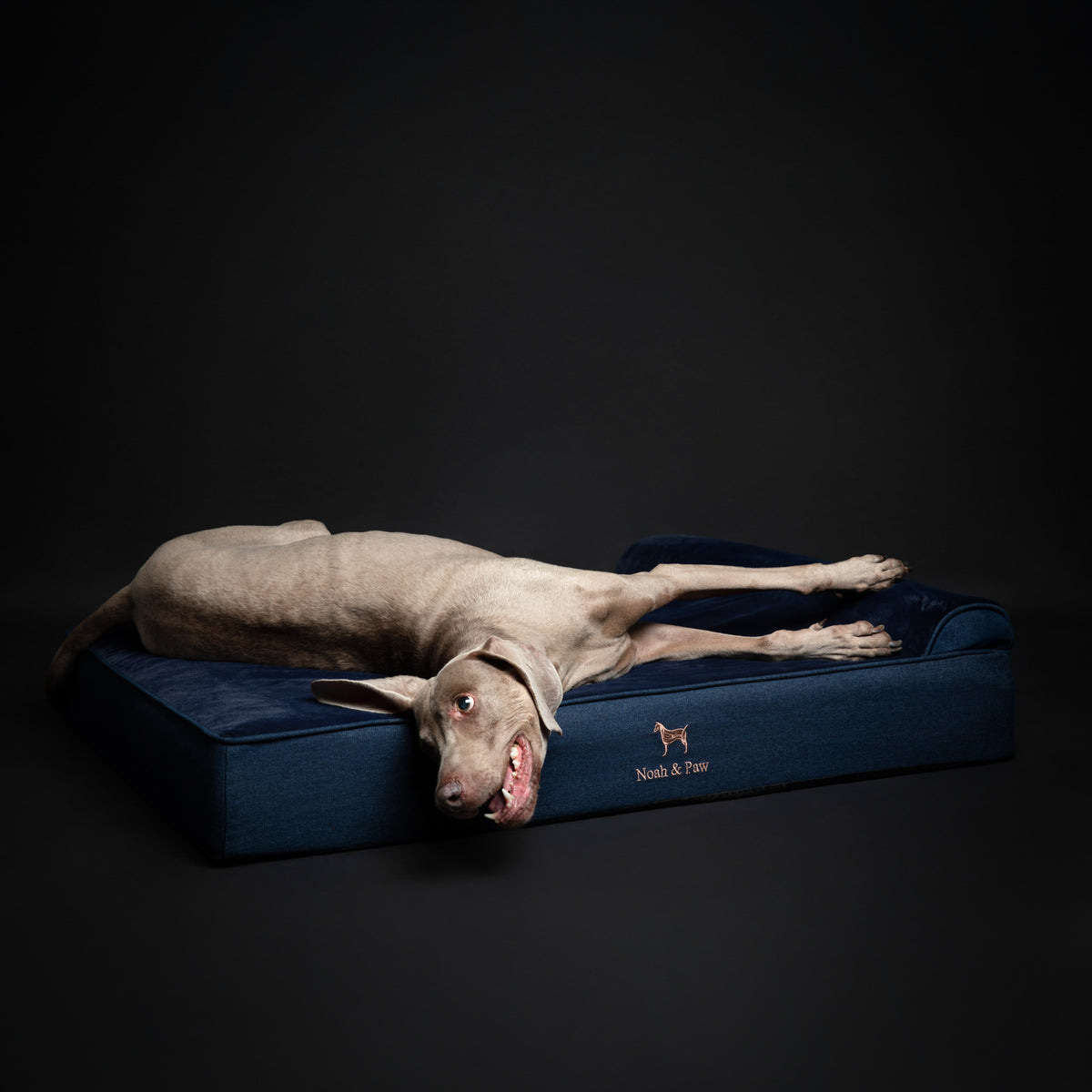 Denim, Orthopedic Pet Bed, Classic Style - Dark Blue - XL