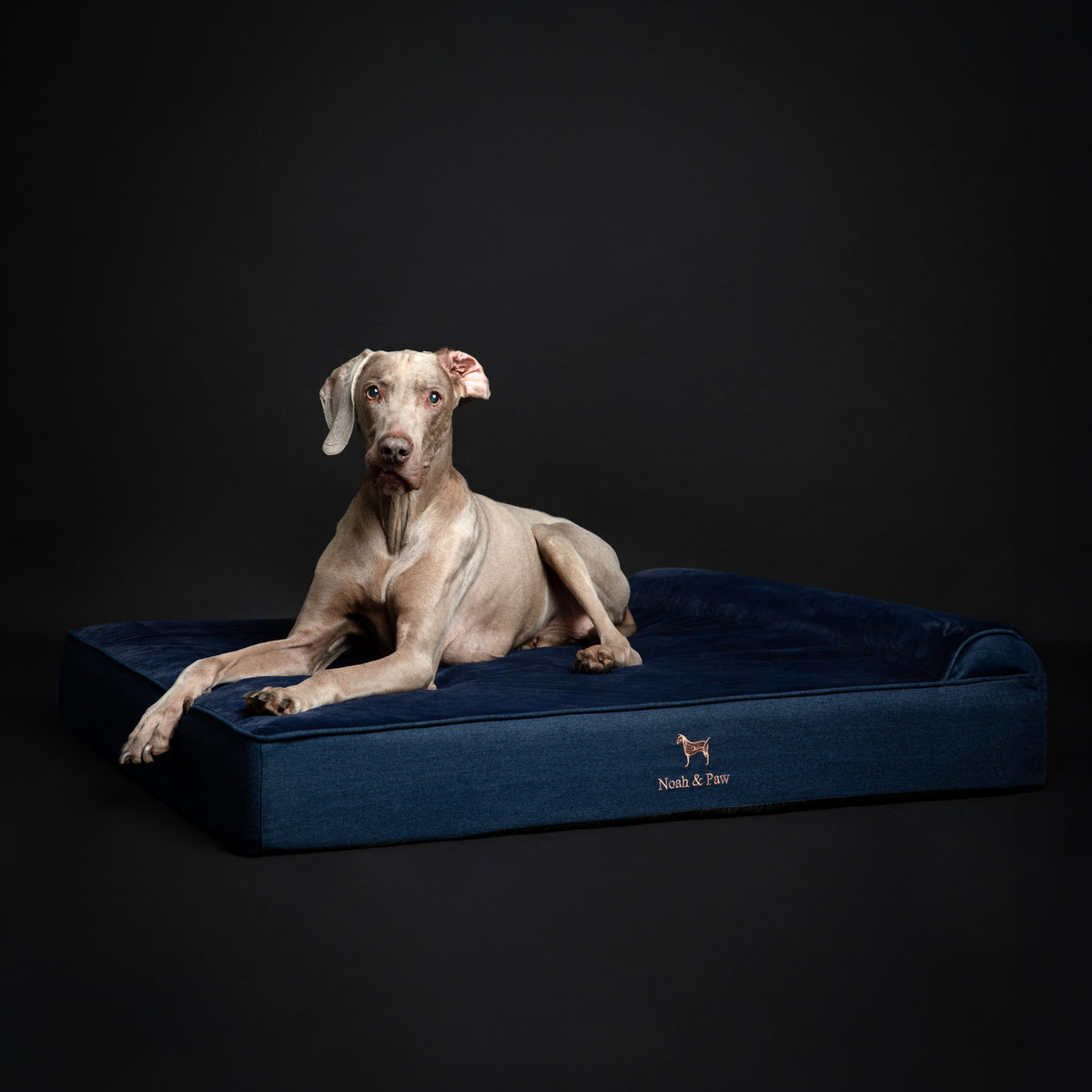Denim, Orthopedic Pet Bed, Classic Style - Dark Blue - XL
