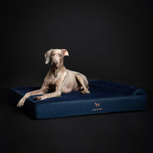 Noah & Paw orthopedic classic dog bed in denim with memory foam and cooling gel, dark blue, size XL (45 x 35 x 9 in)