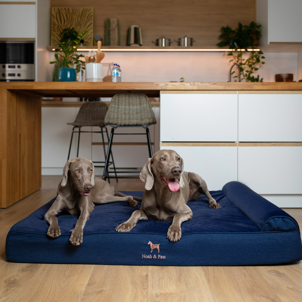 Denim, Orthopedic Pet Bed, Classic Style - Dark Blue - XXL