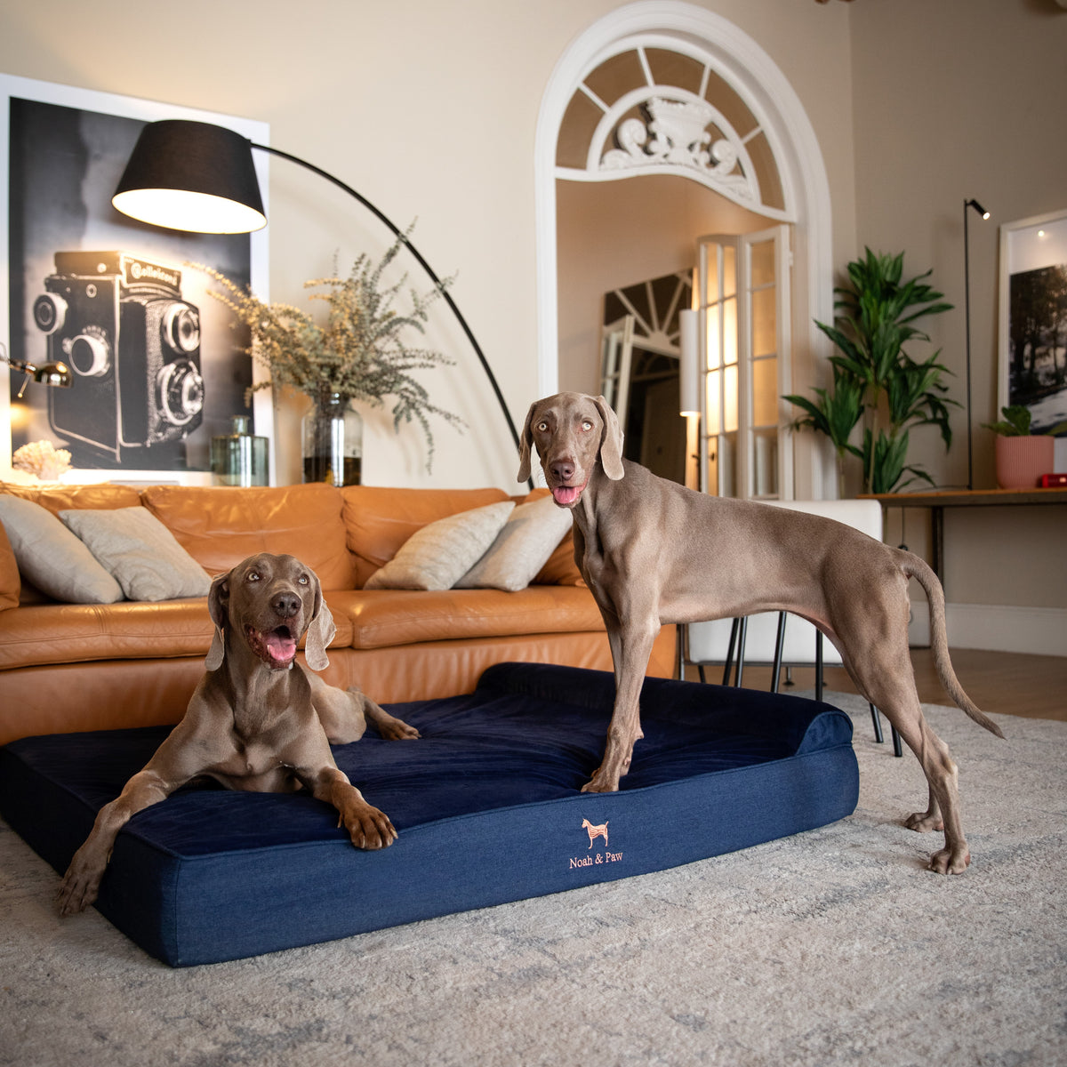 Denim, Orthopedic Pet Bed, Classic Style - Dark Blue - XXL