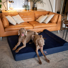 Noah & Paw orthopedic classic dog bed in denim with memory foam and cooling gel, dark blue, size XXL (55 x 45 x 9.5 in)