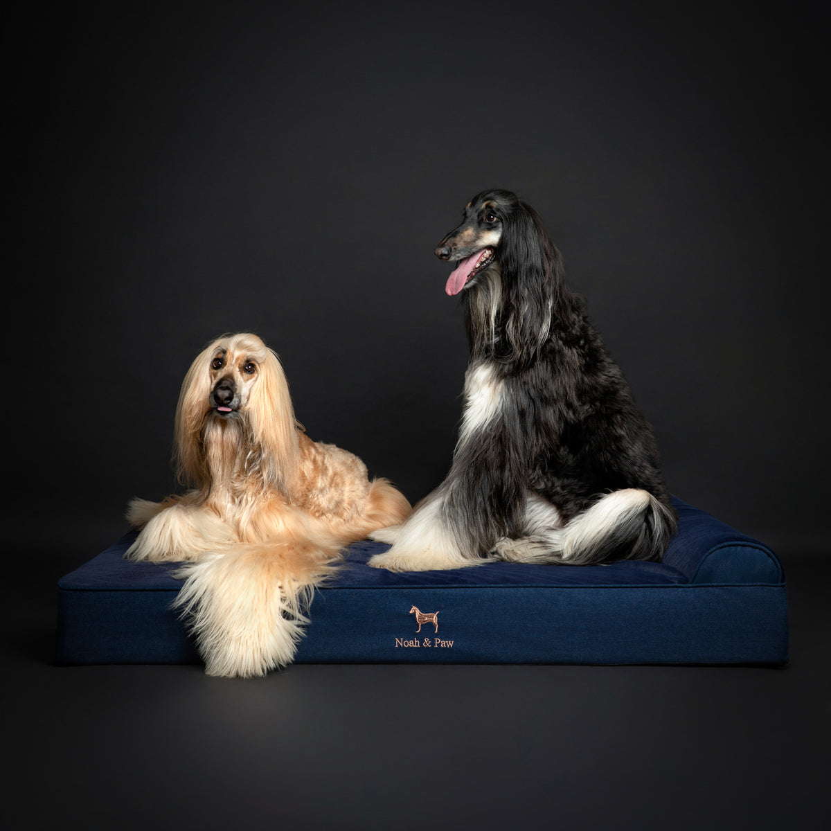 Denim, Orthopedic Pet Bed, Classic Style - Dark Blue - XXL