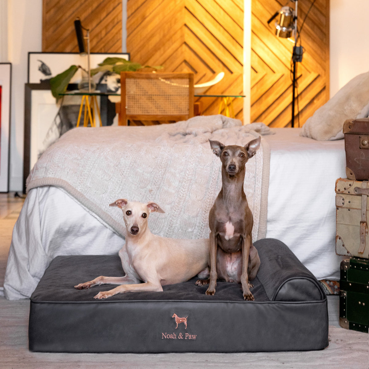 Orthopedic Faux Leather Pet Bed Classic Style - Black - L