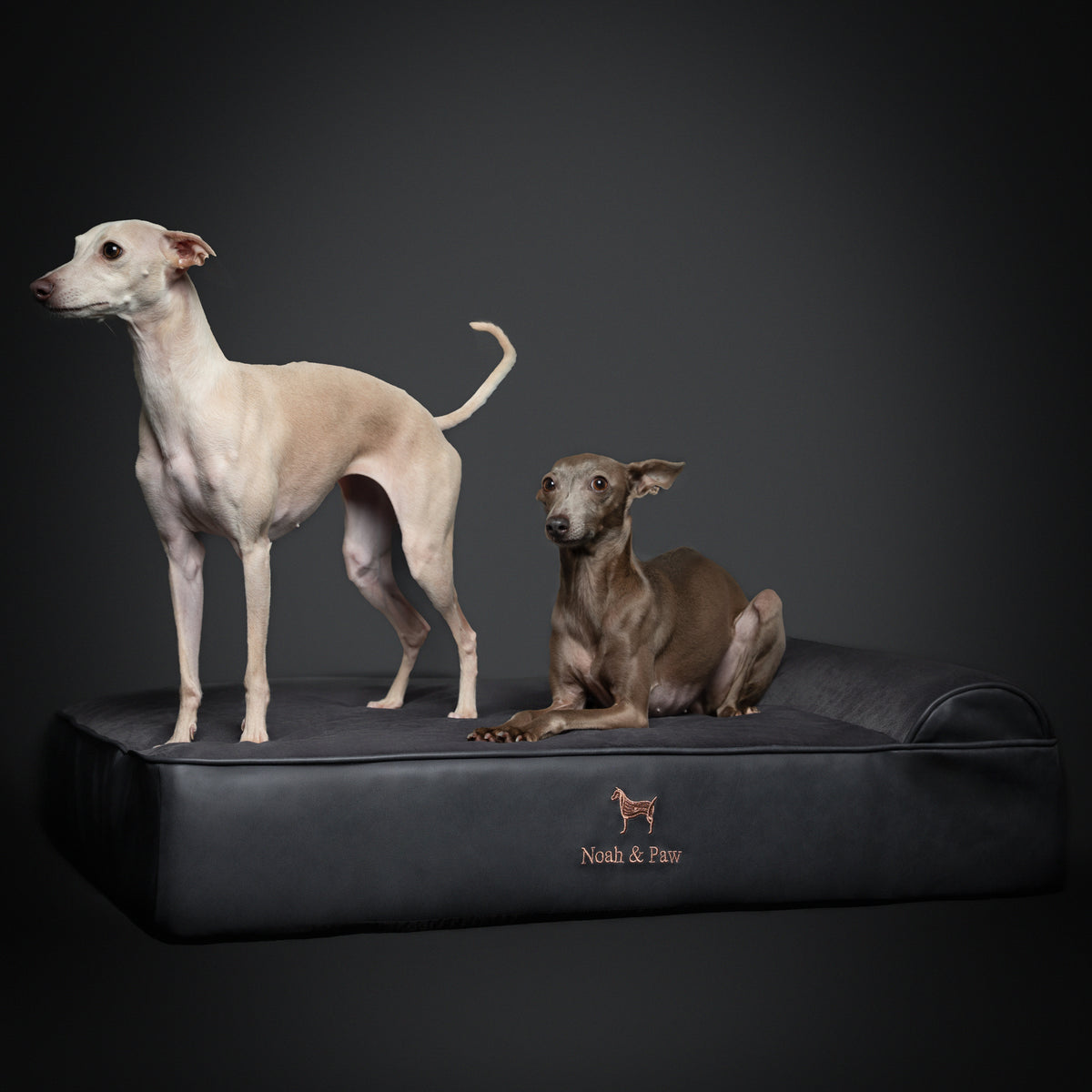 Orthopedic Faux Leather Pet Bed Classic Style - Black - L