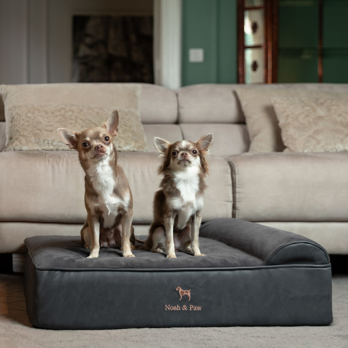 Orthopedic Faux Leather Pet Bed Classic Style - Black - M
