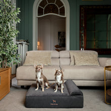 Noah & Paw orthopedic classic dog bed in faux leather with memory foam and cooling gel, black, size M (28 x 23 x 7.5 in)