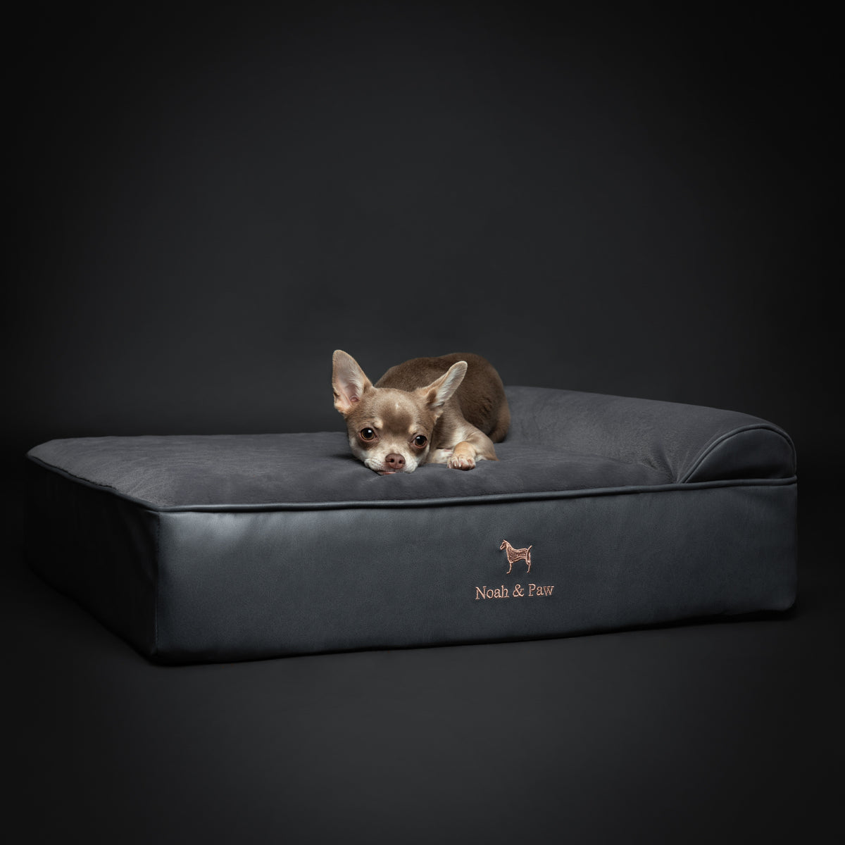 Orthopedic Faux Leather Pet Bed Classic Style - Black - M