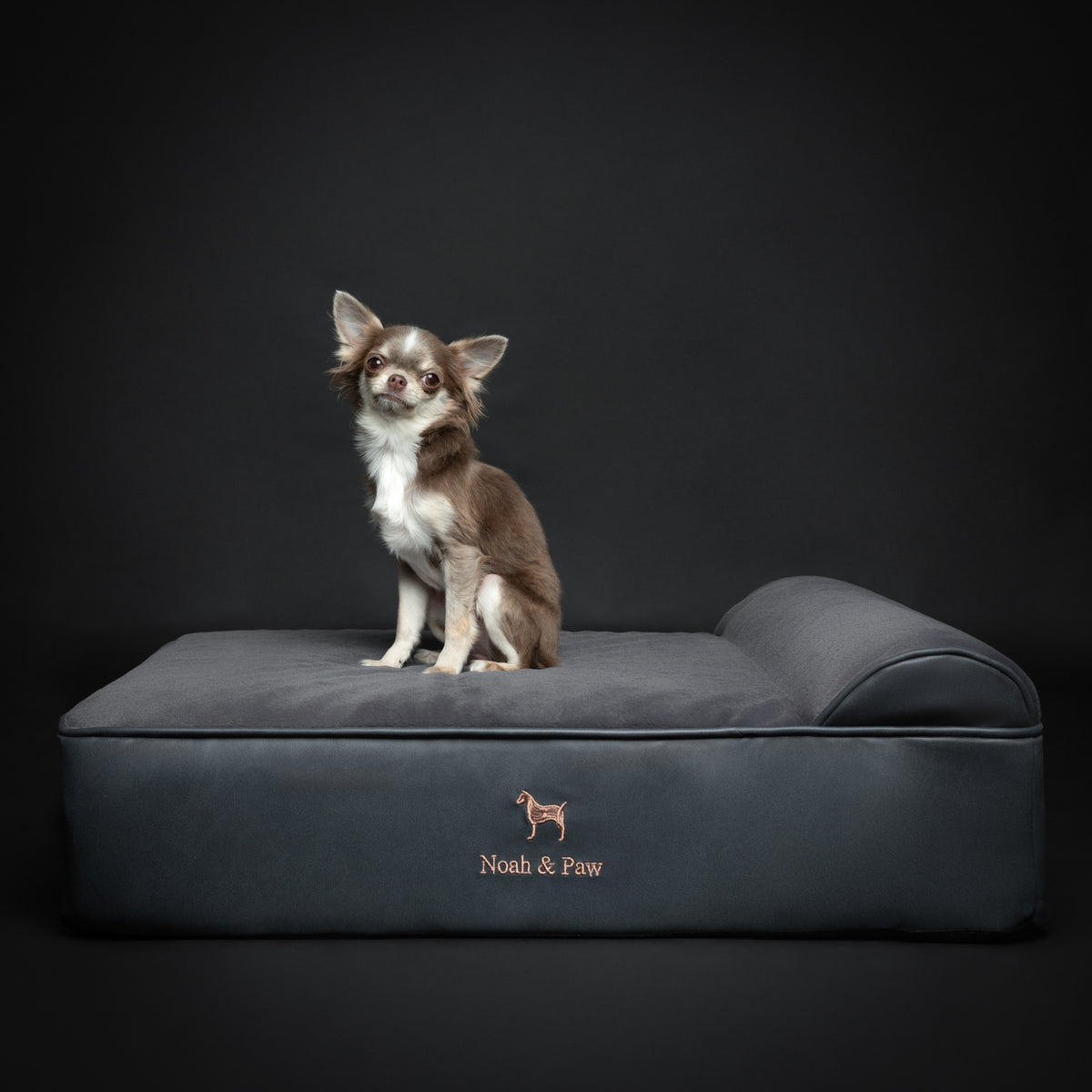Orthopedic Faux Leather Pet Bed Classic Style - Black - M