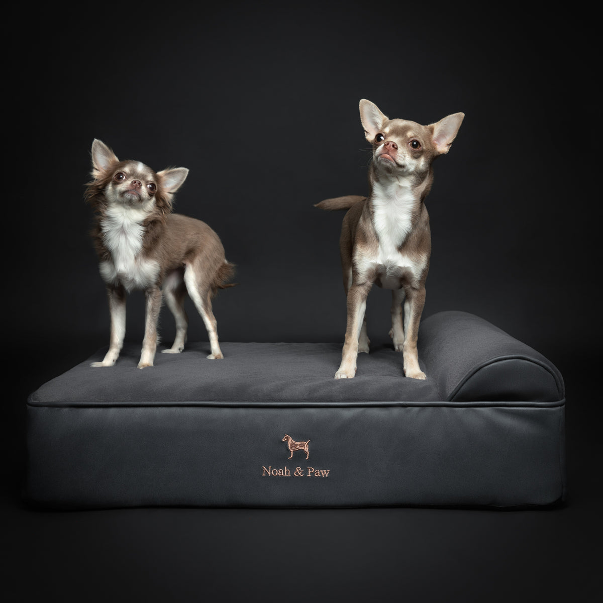 Orthopedic Faux Leather Pet Bed Classic Style - Black - M