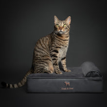 Noah & Paw orthopedic classic dog bed in faux leather with memory foam and cooling gel, black, size S (20 x 15 x 6.5 in)