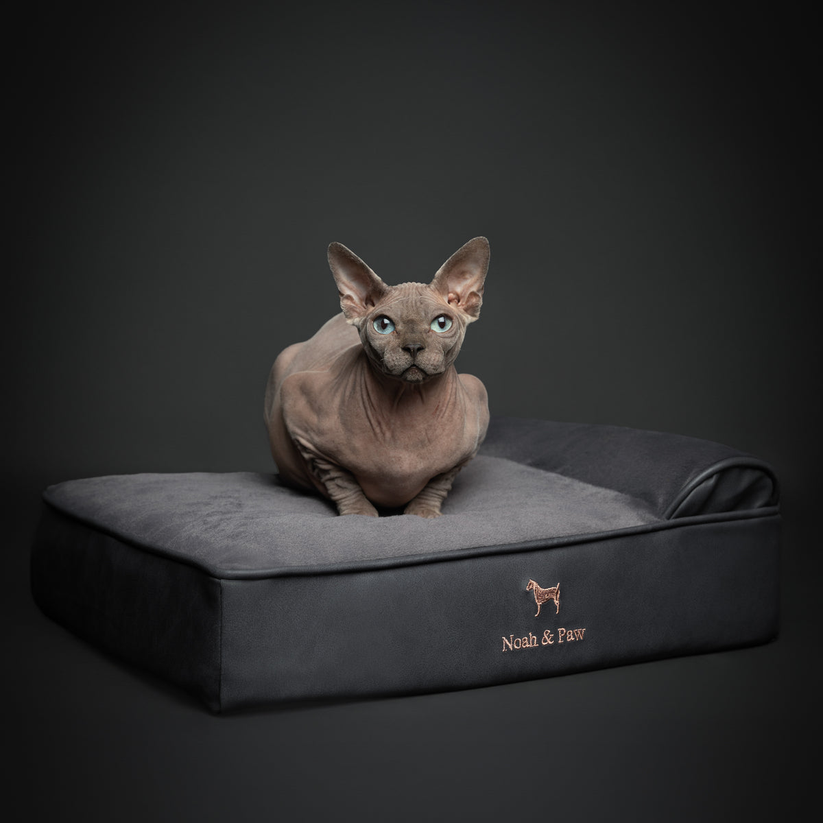 Orthopedic Faux Leather Pet Bed Classic Style - Black - S