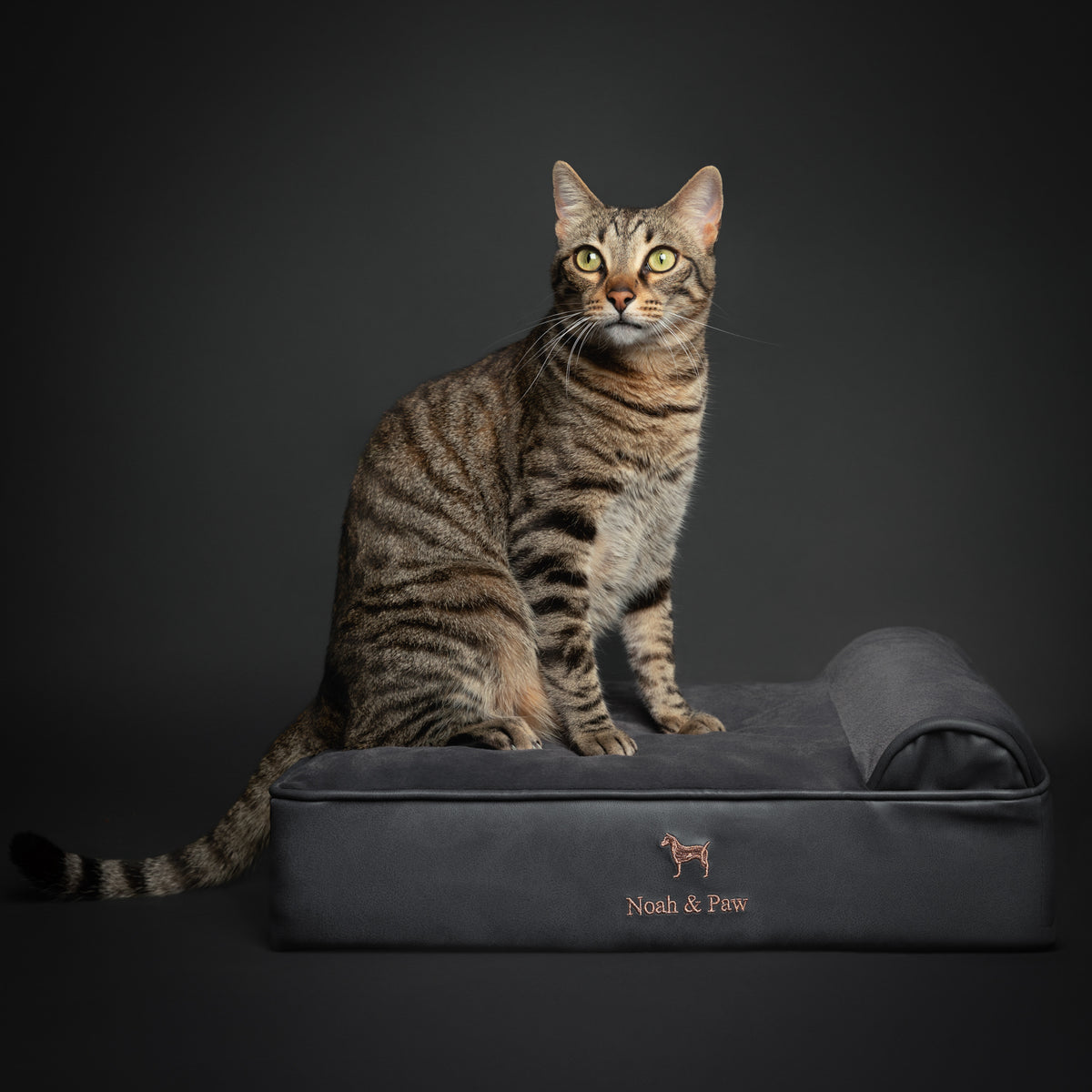 Orthopedic Faux Leather Pet Bed Classic Style - Black - S